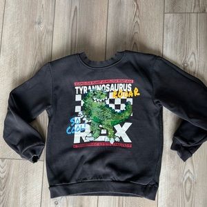 Dino boys sweatshirt
